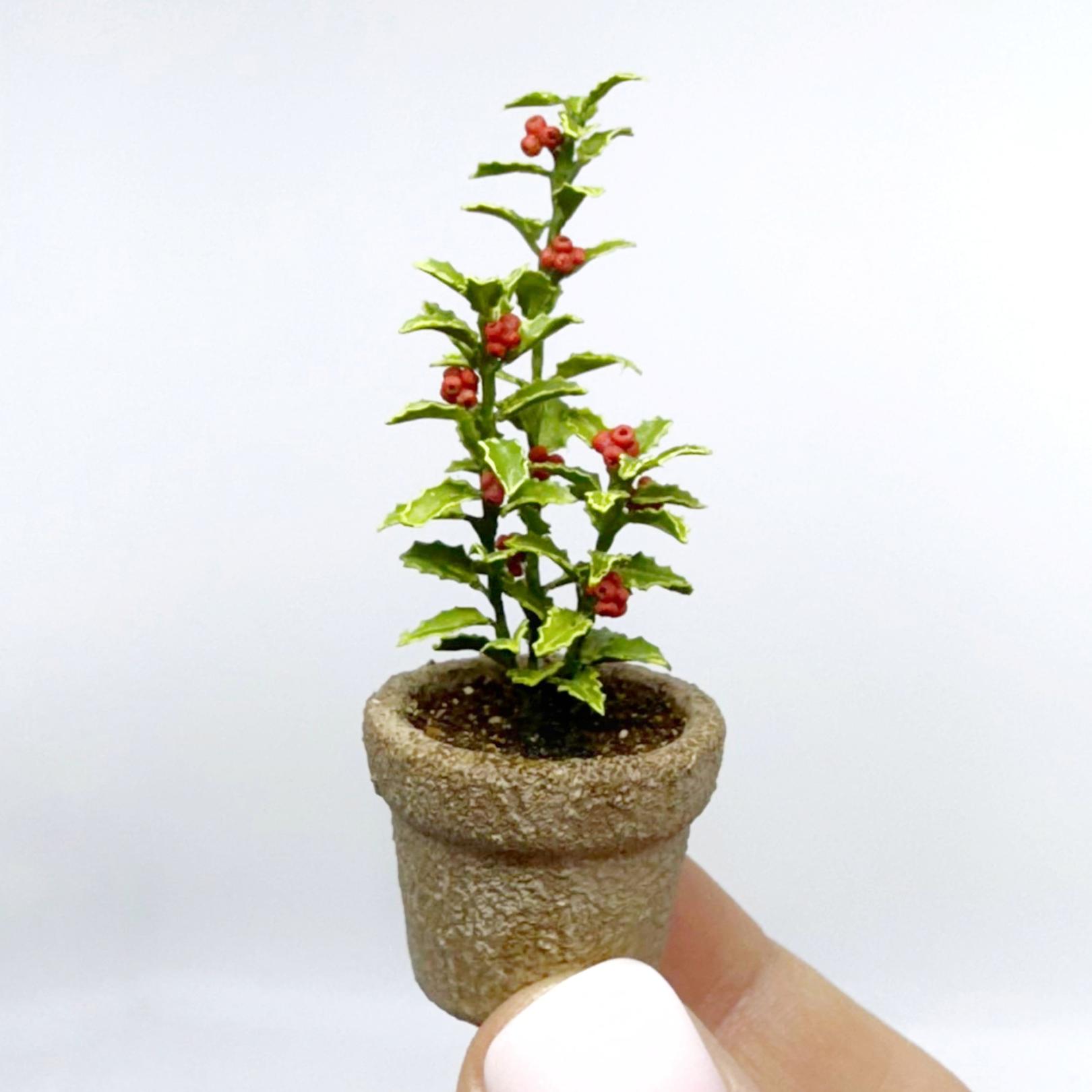 Holly plant in the pot. Miniature realistic bush. C.